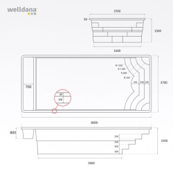 Fiber pool model Pisa
